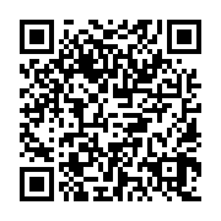 QR code for plate FJO-508