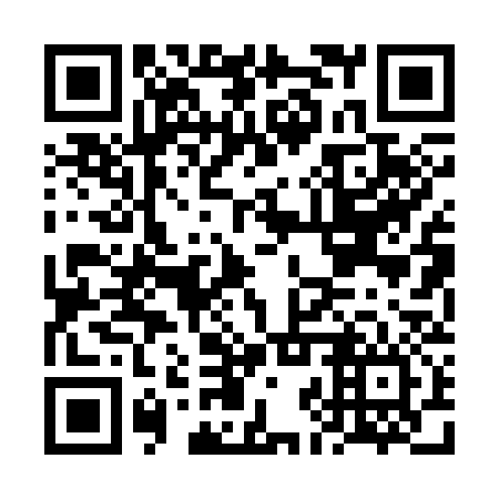 QR code for FJP-336