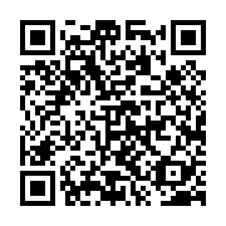 QR code for plate FST-029