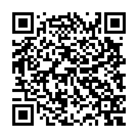 QR code for plate FST-036