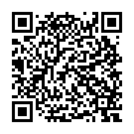 QR code for FVS-383