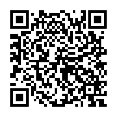 QR code for plate FYS-169