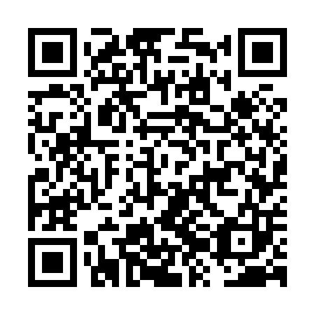 QR code for plate FZG-803