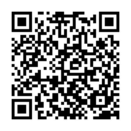 QR code for FZS377