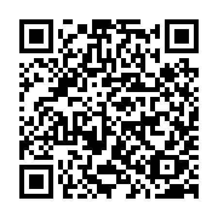 QR code for plate G03-29X