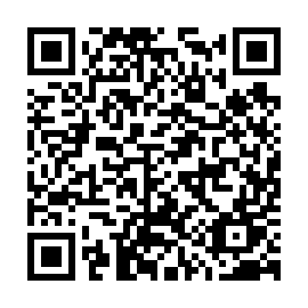 QR code for plate G11-65T