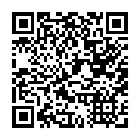 QR code for plate G15-38N