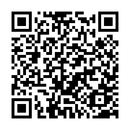 QR code for plate G16-00R