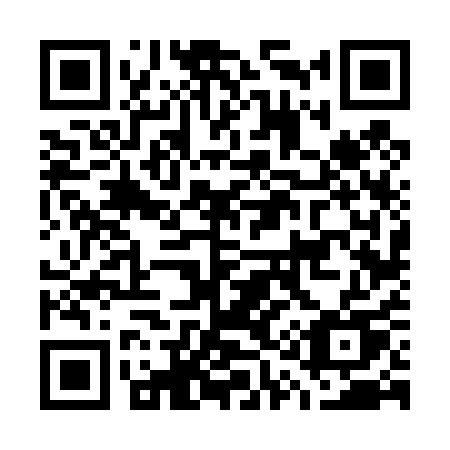 QR code for plate G16-41U