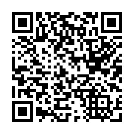 QR code for G2838Q