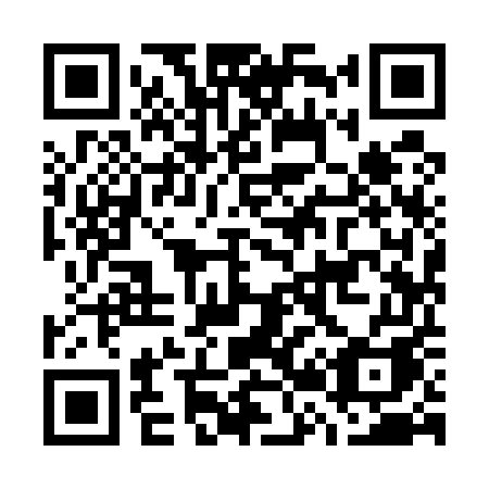 QR code for G29-55A