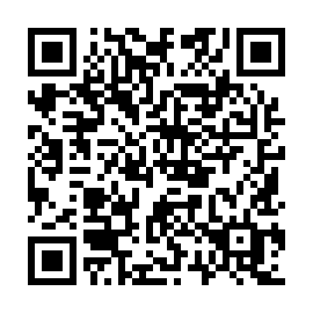 QR code for G2919D