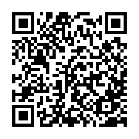 QR code for plate G32-78V