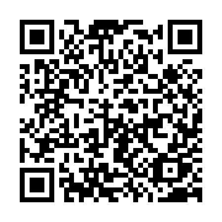 QR code for G36-85P