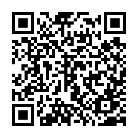 QR code for plate G36-65V