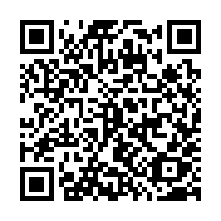QR code for G3738X