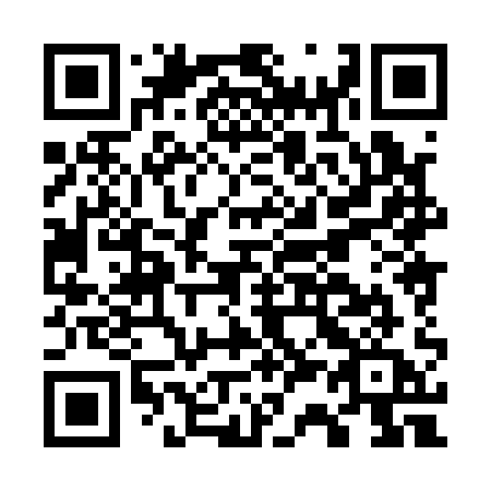 QR code for G38-11A