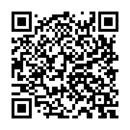 QR code for G38-95Q