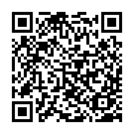 QR code for G4234P
