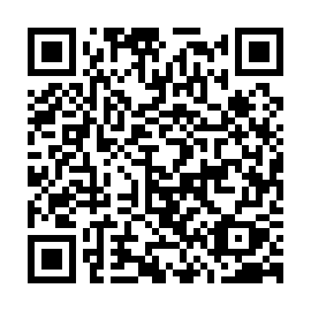 QR code for G6517Y