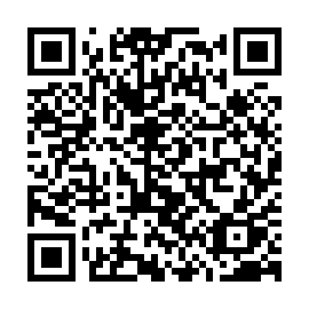 QR code for plate G67-81P
