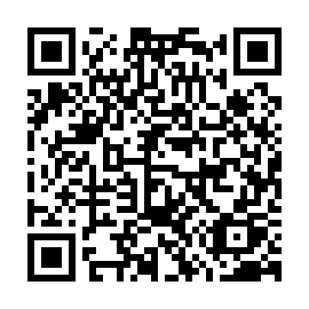 QR code for plate G75-17P