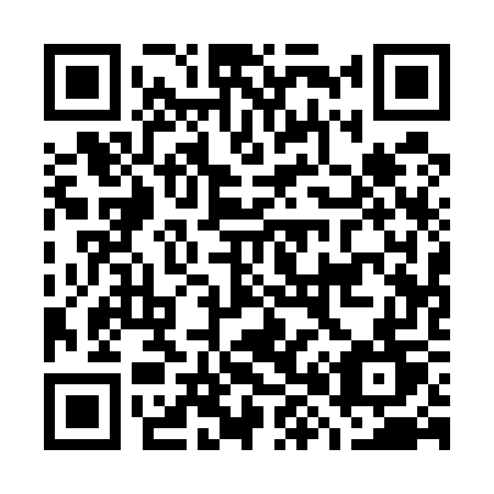 QR code for plate G81-57T