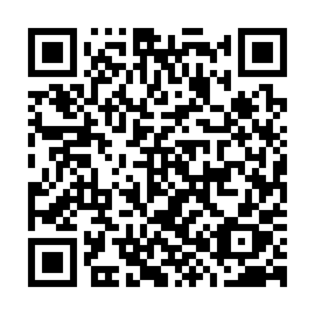 QR code for plate G85-30X