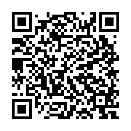QR code for plate GFK-384
