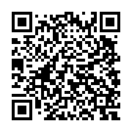 QR code for plate GOV-402