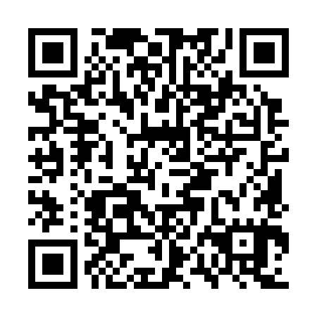 QR code for plate GPM-385