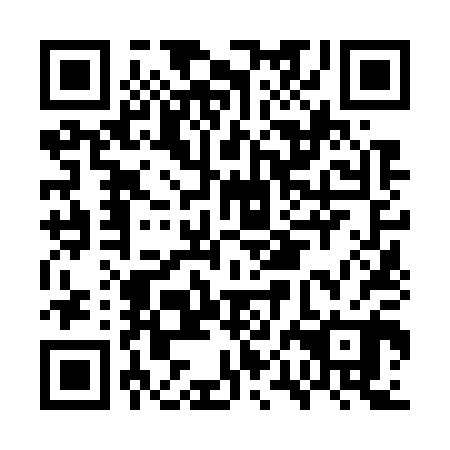 QR code for plate GPN-700
