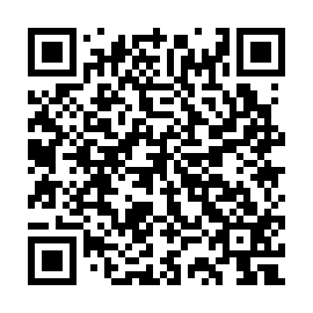 QR code for GSA-313