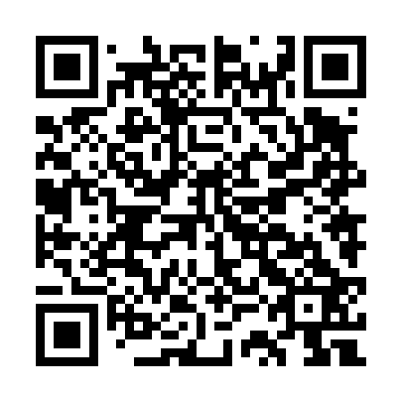 QR code for plate GSN-423