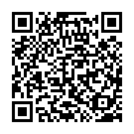 QR code for plate GTP-519