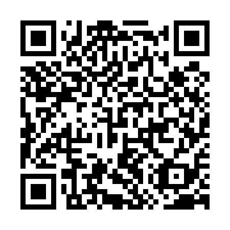 QR code for plate GWW-519
