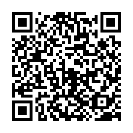 QR code for plate GZF-338