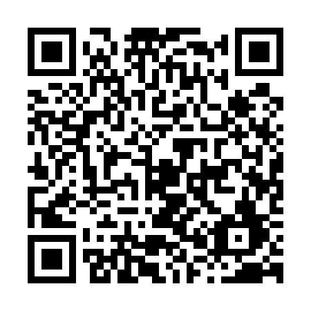 QR code for H0153F