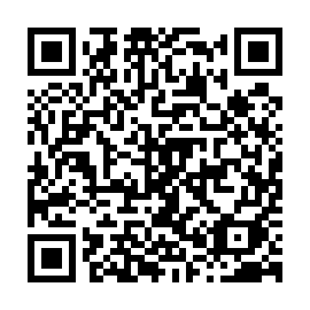 QR code for H0155I