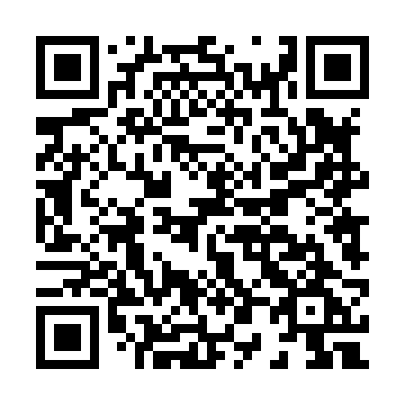 QR code for H0482G