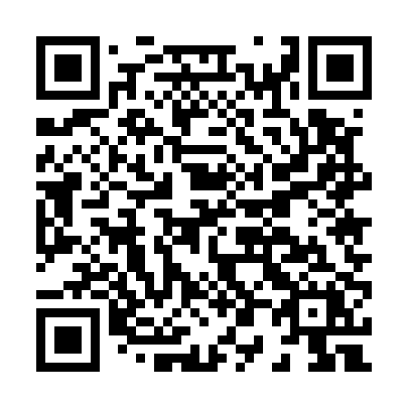 QR code for H0550X