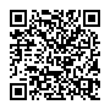 QR code for H0590P