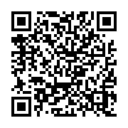 QR code for H0641Z
