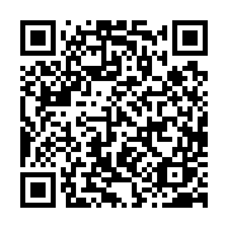 QR code for plate H10-75S