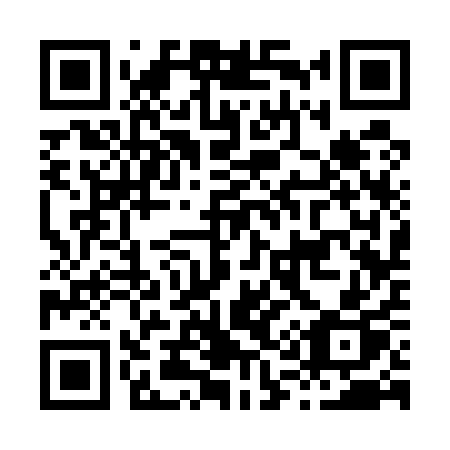 QR code for H13-51P