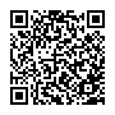 QR code for plate H13-08V