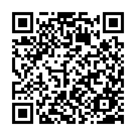 QR code for H1530N