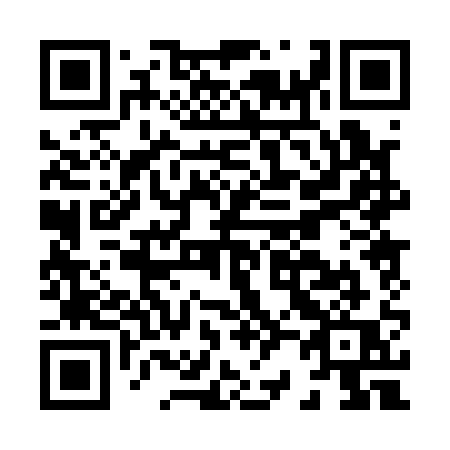 QR code for H2011Q