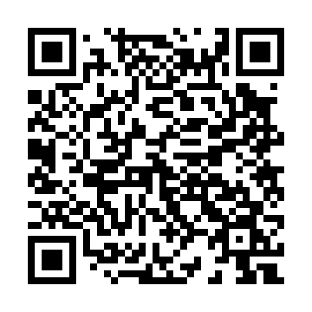 QR code for H22-06N