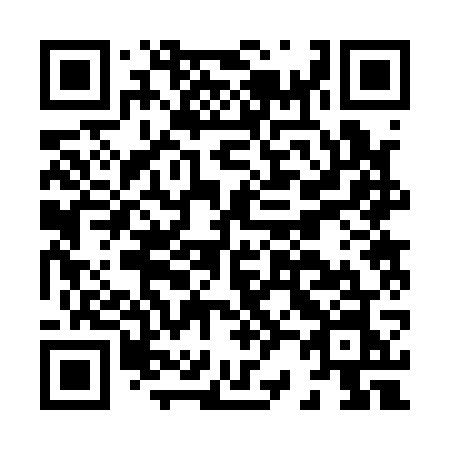 QR code for H2217N